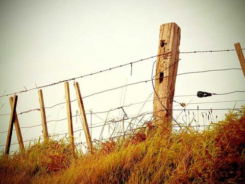 Outdoor portrait photograph 10