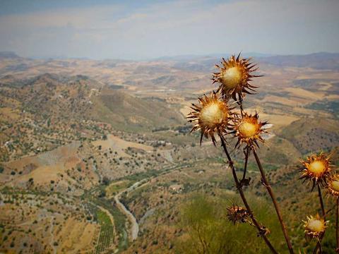 Travel landscape photograph 06