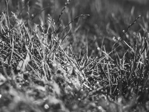 Wedding detail photograph 03