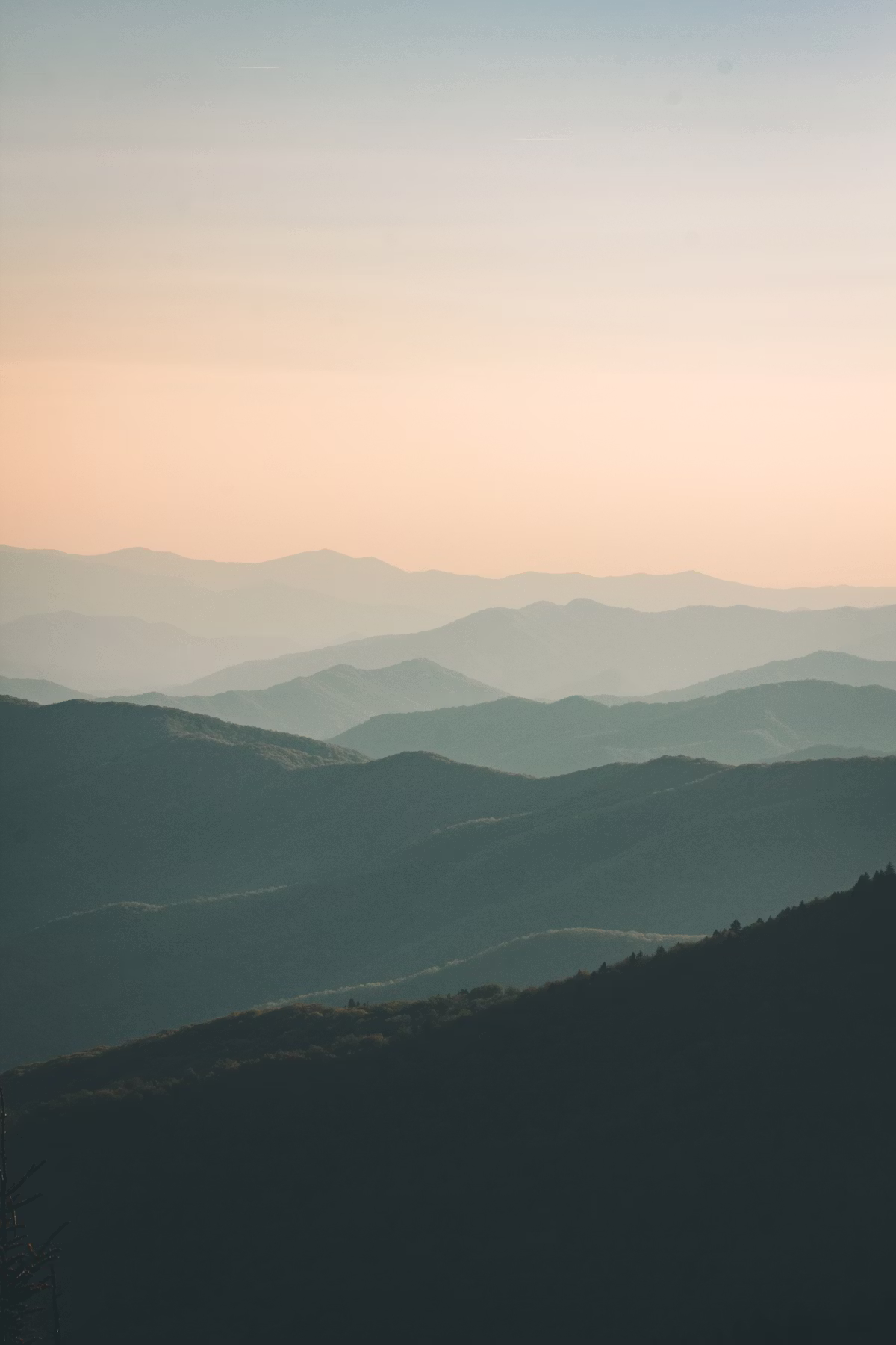 Landscape story for editorial use